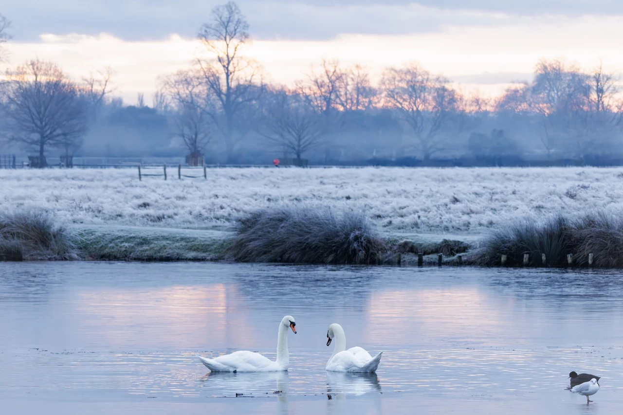 A month in photos - January 2025