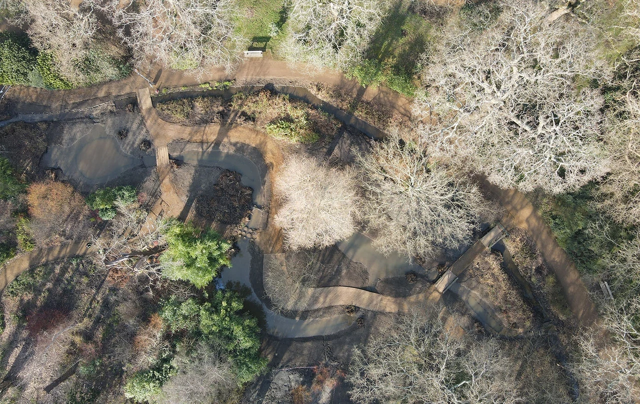 Isabella Plantation Bog Garden viewed from above