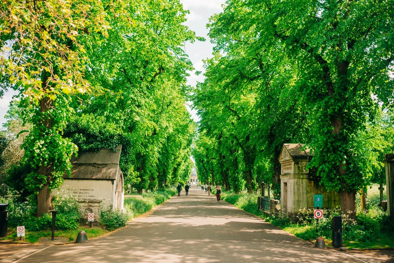 Image of lime tree line avenue with the Brompton Capel at the end