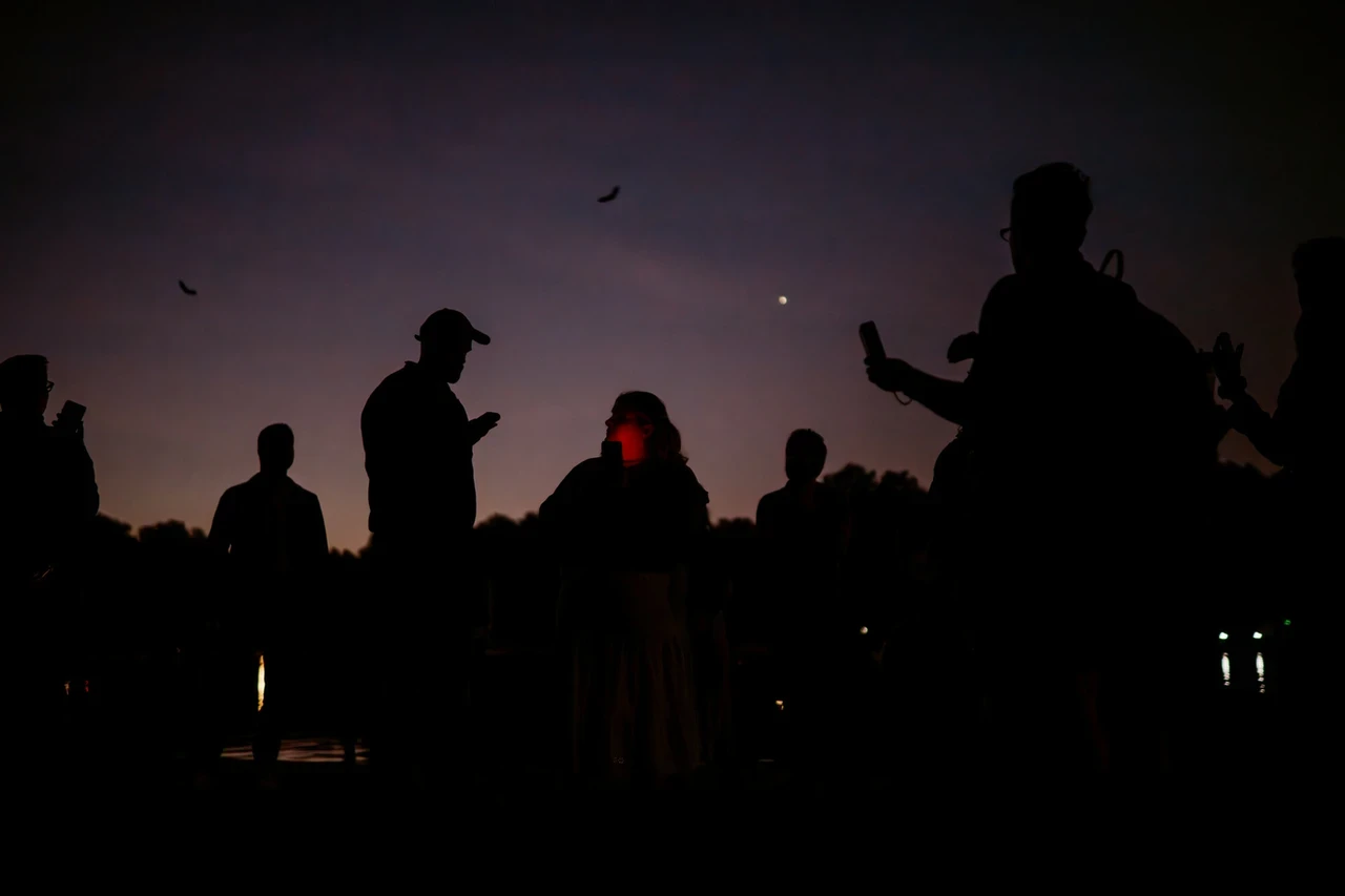Night time image of group with bat detectors