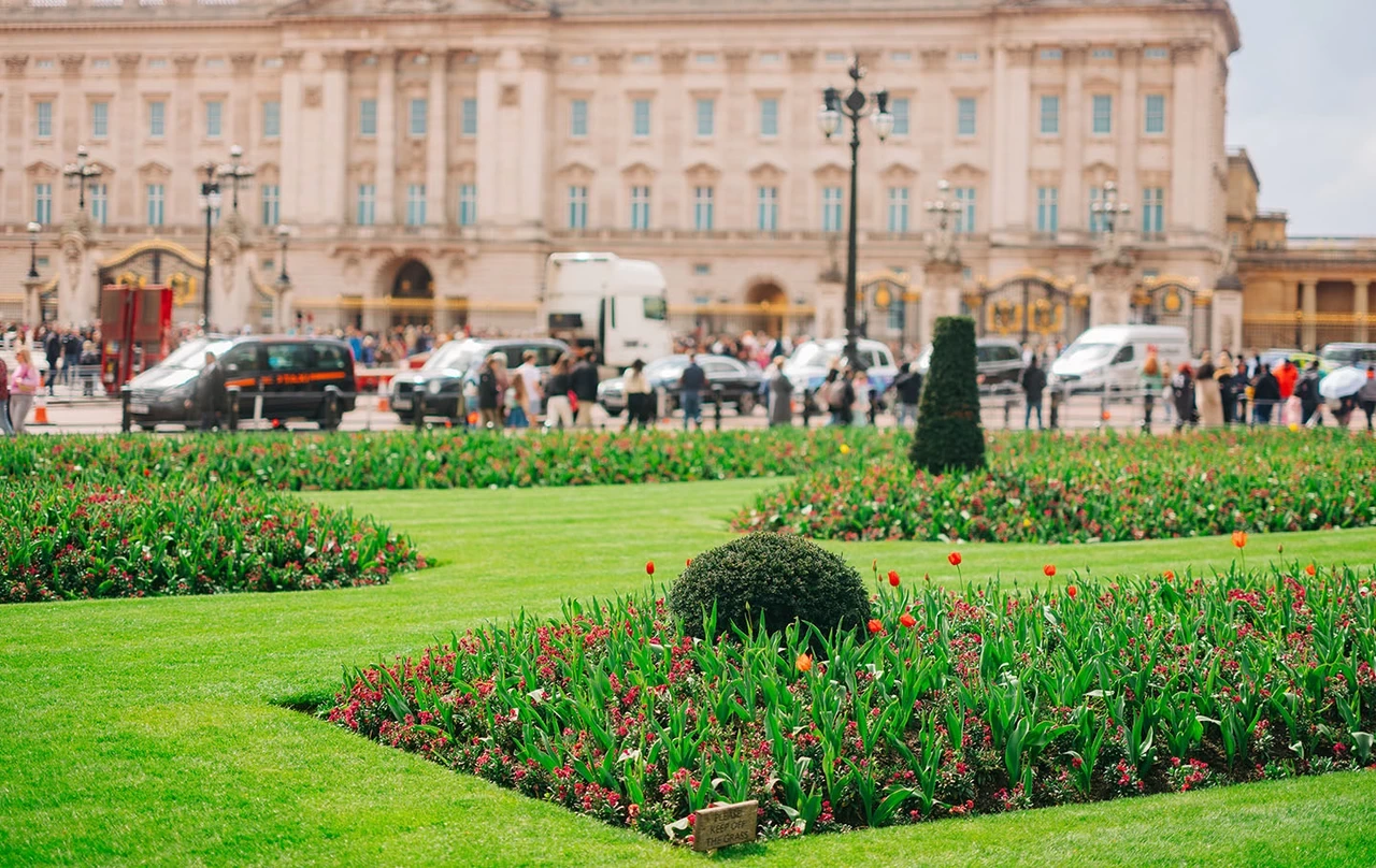 Flower beds outside Buckingham Palace