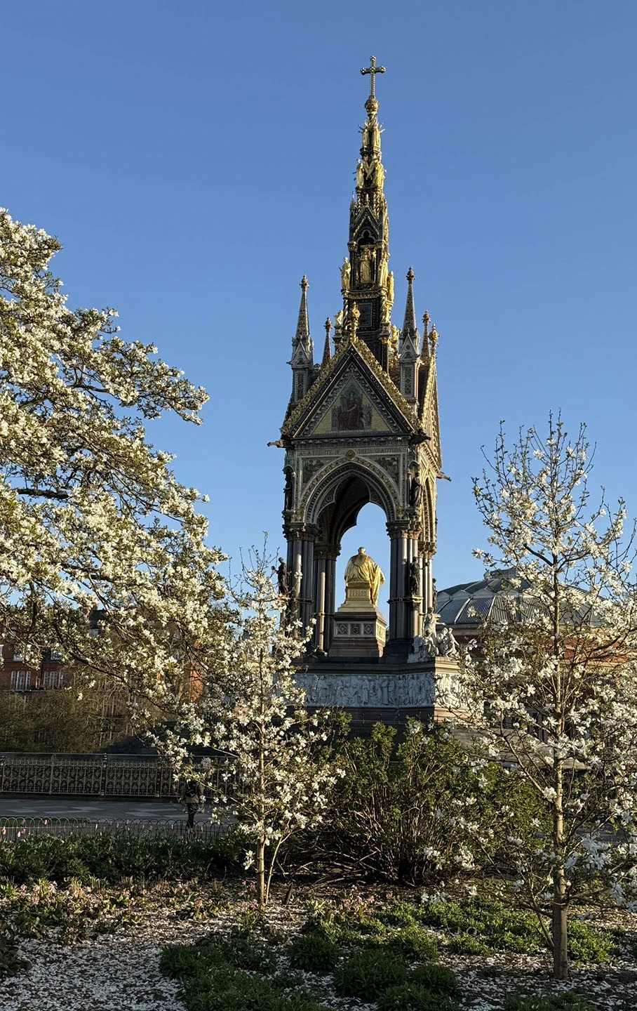 Blossom-filled trees in front of the Albert Memorial
