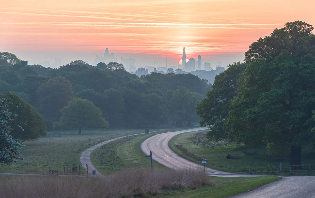 City skyline viewed from Richmond Park at dusk
