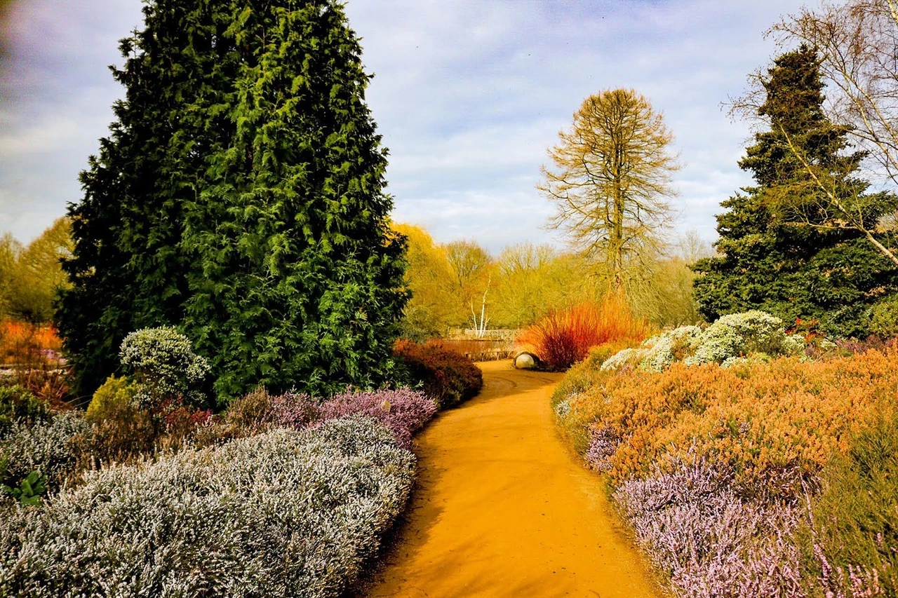Isabella Plantation