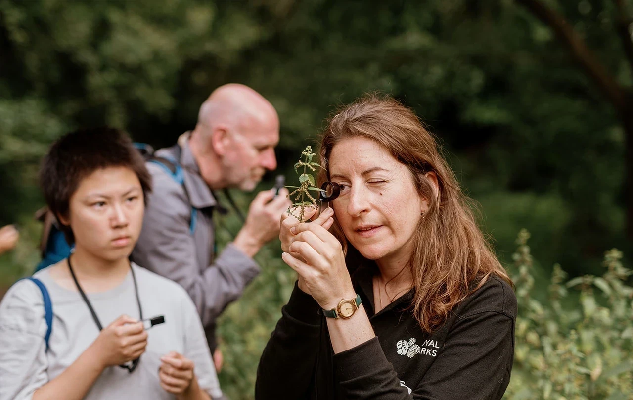 wonderful weeds banner