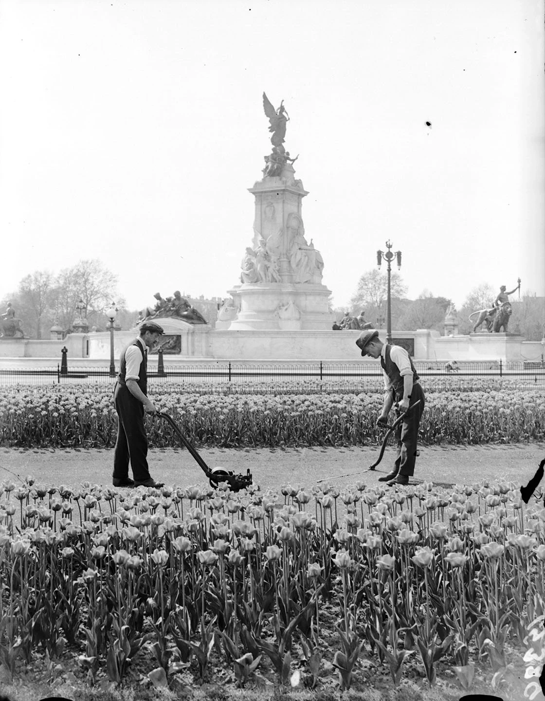 Gardeners at work amongst the flower beds opposite the Queen Victoria Memorial and Buckingham Palace, May 1929.
