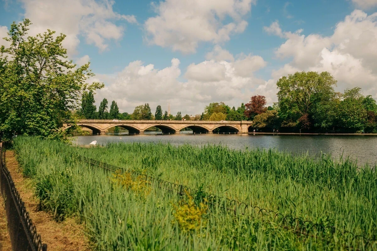 Image of a green landscape with a bridge in the background