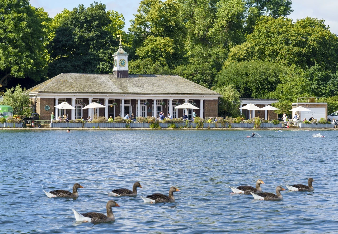 Serpentine lido summer 