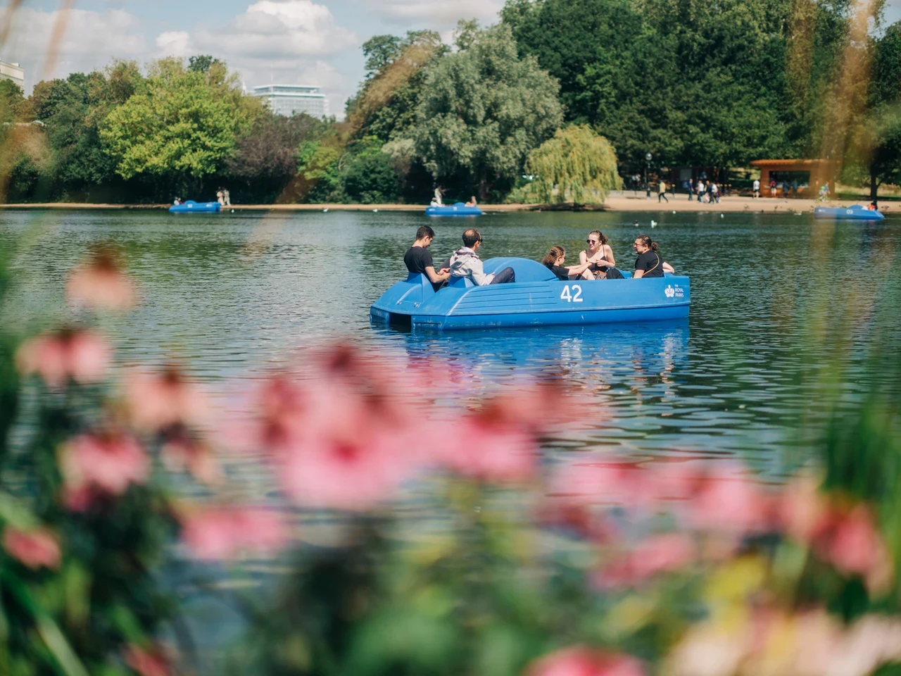 Serpentine Boating Summer