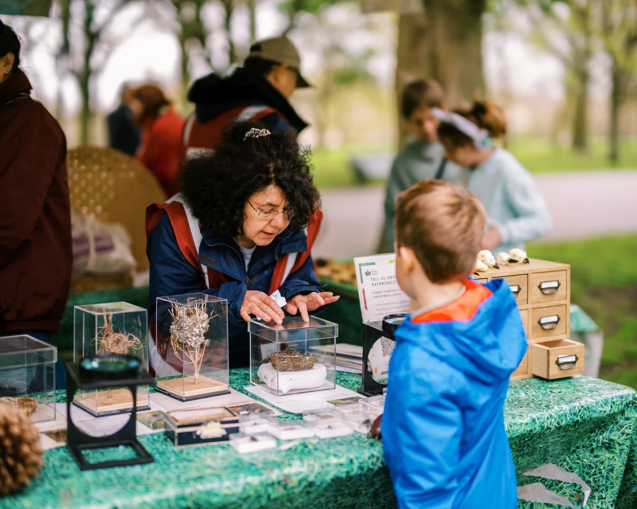 A volunteer is talking to a child about different bird nests on a table