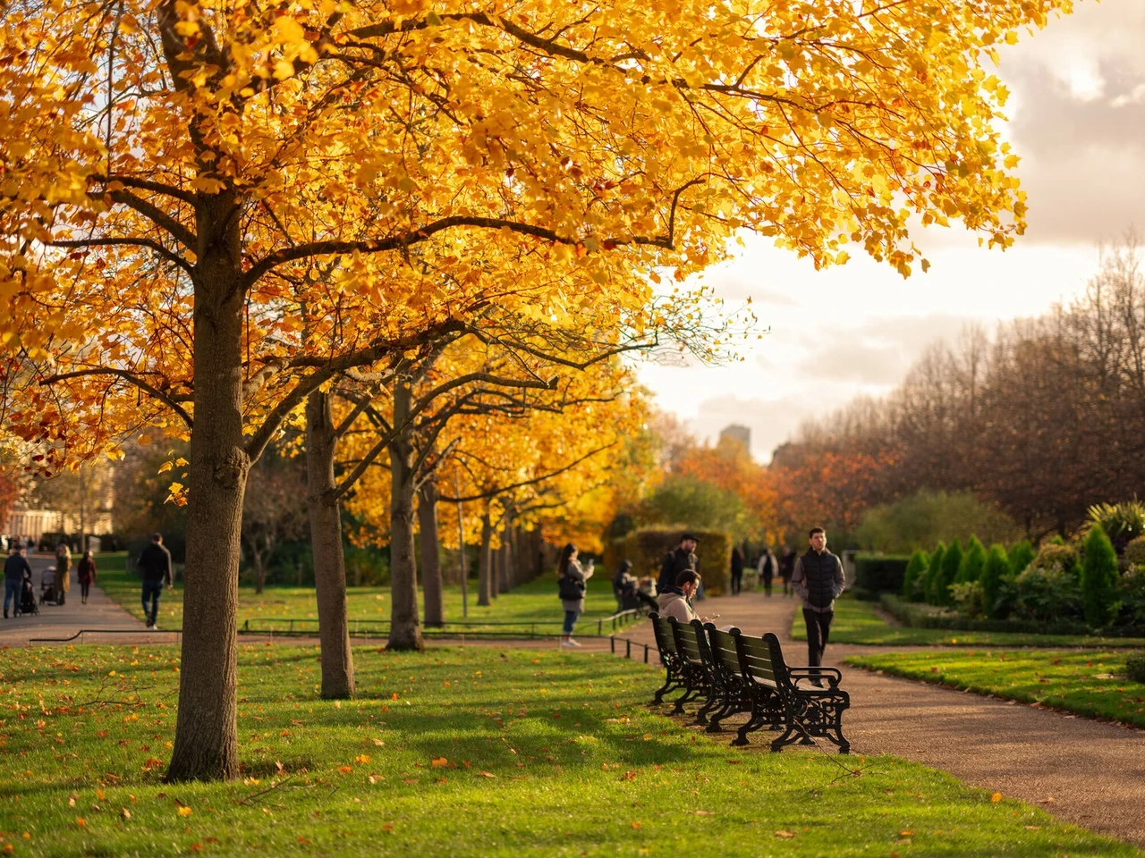 Autumn in The Regent's Park