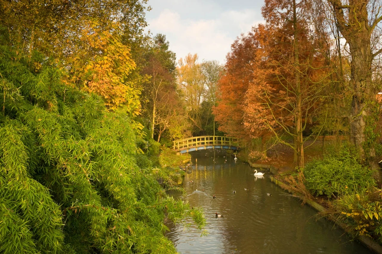 Autumnal trees in green orange and yellow and a waterway in the middle and a bridge crossing it. 