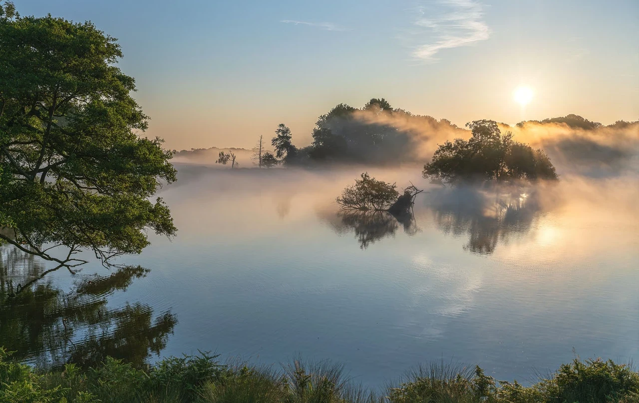 Sun shining through morning mist rising from the pond