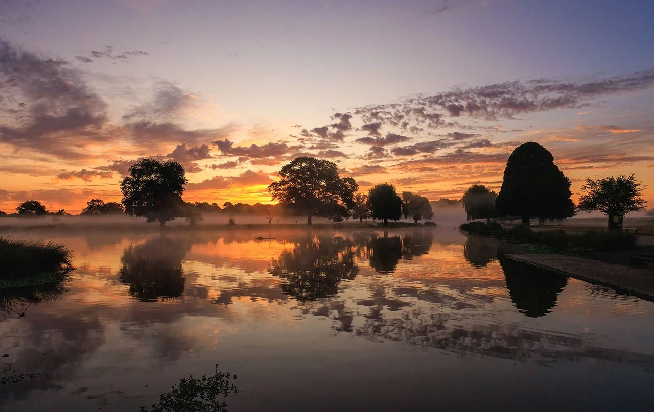 An orange sky reflects in still water below
