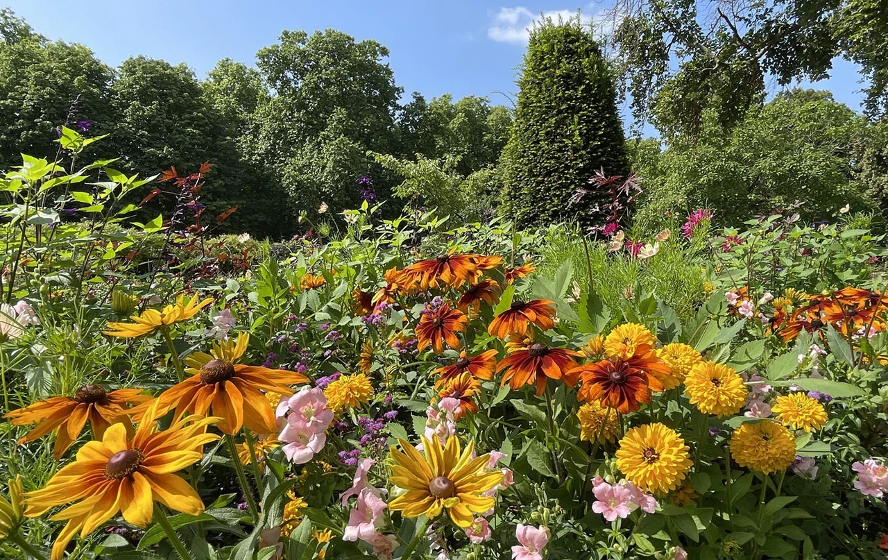 Colourful flower beds in the Rose Garden