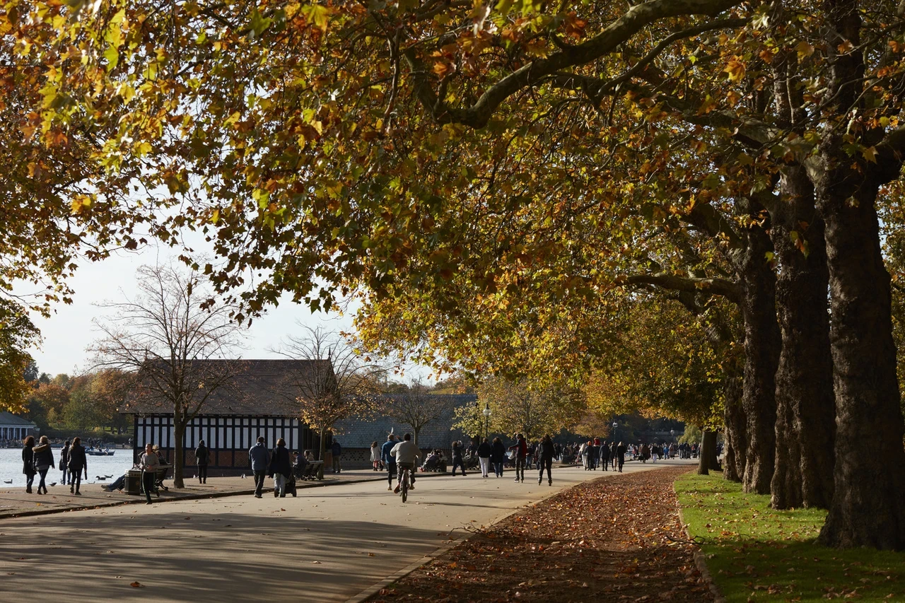 Autumn in Hyde Park