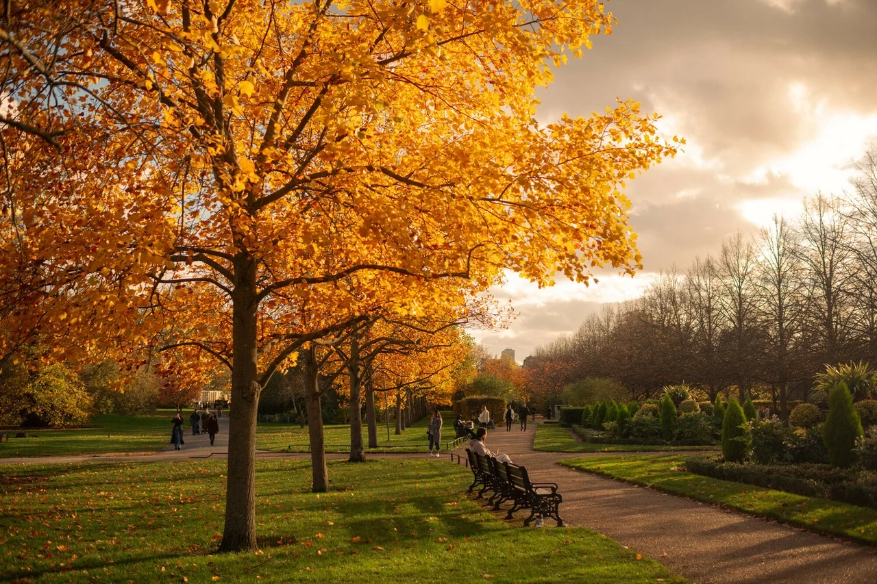 Autumn in The Regent's Park