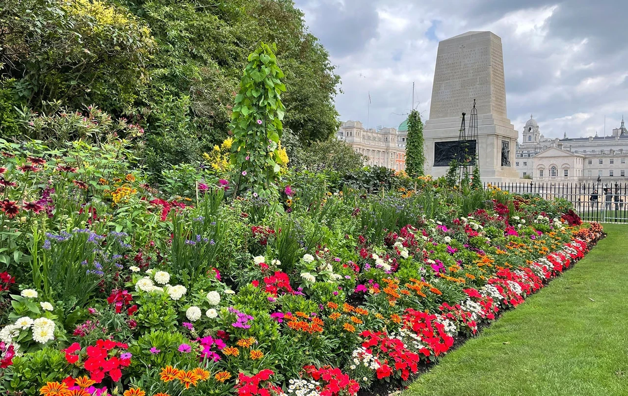 Colourful flower bed with the Guards Memorial and Horse Guards Parade in the background