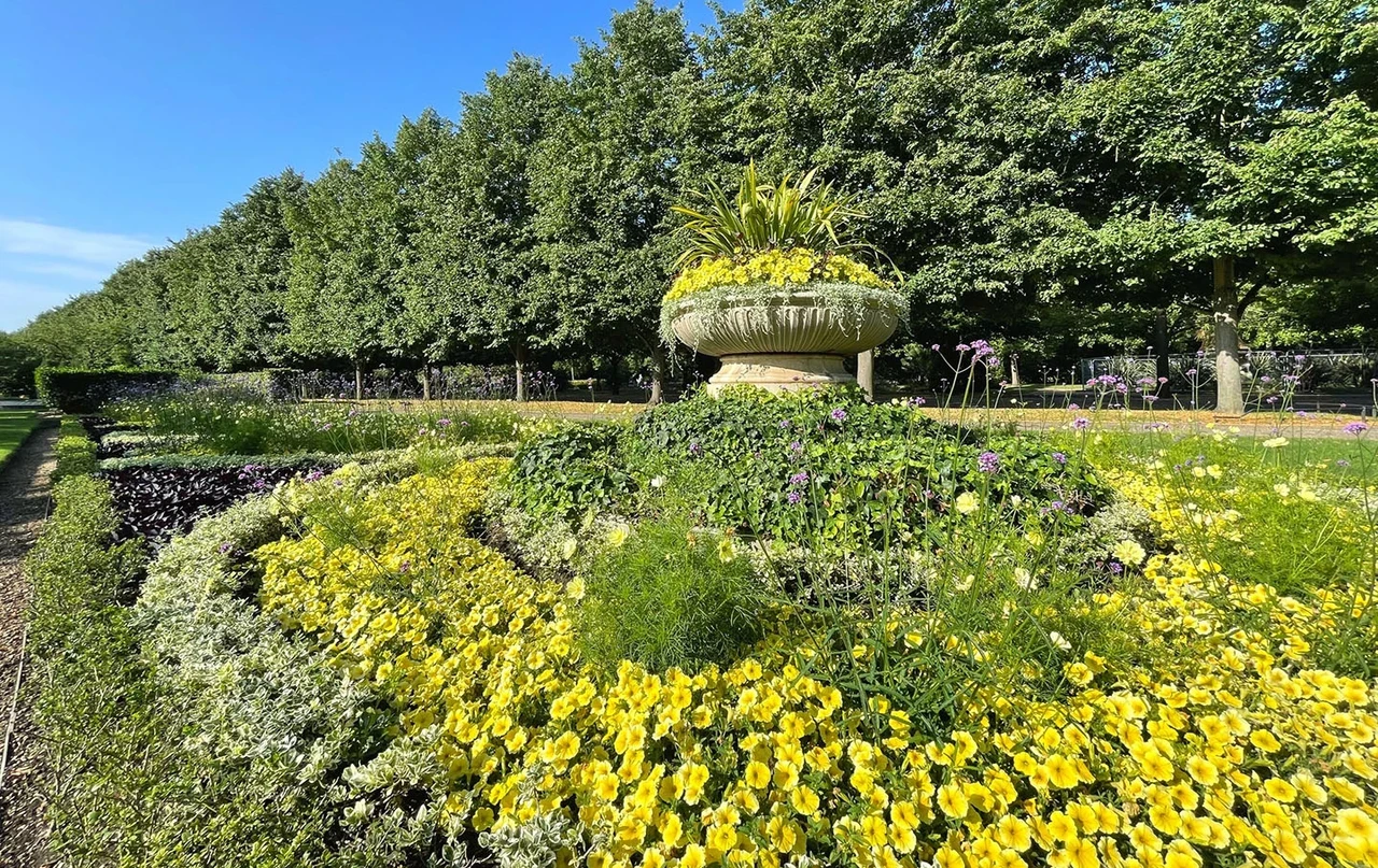 A sea of green and yellow shrubs and flowers in The Avenue Gardens