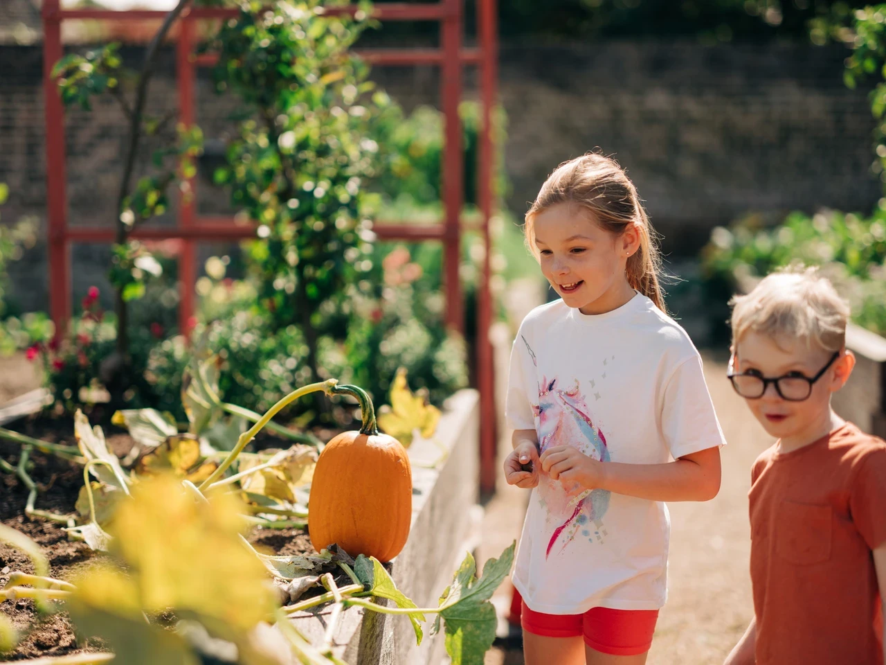Autumn celebrations in Greenwich Park