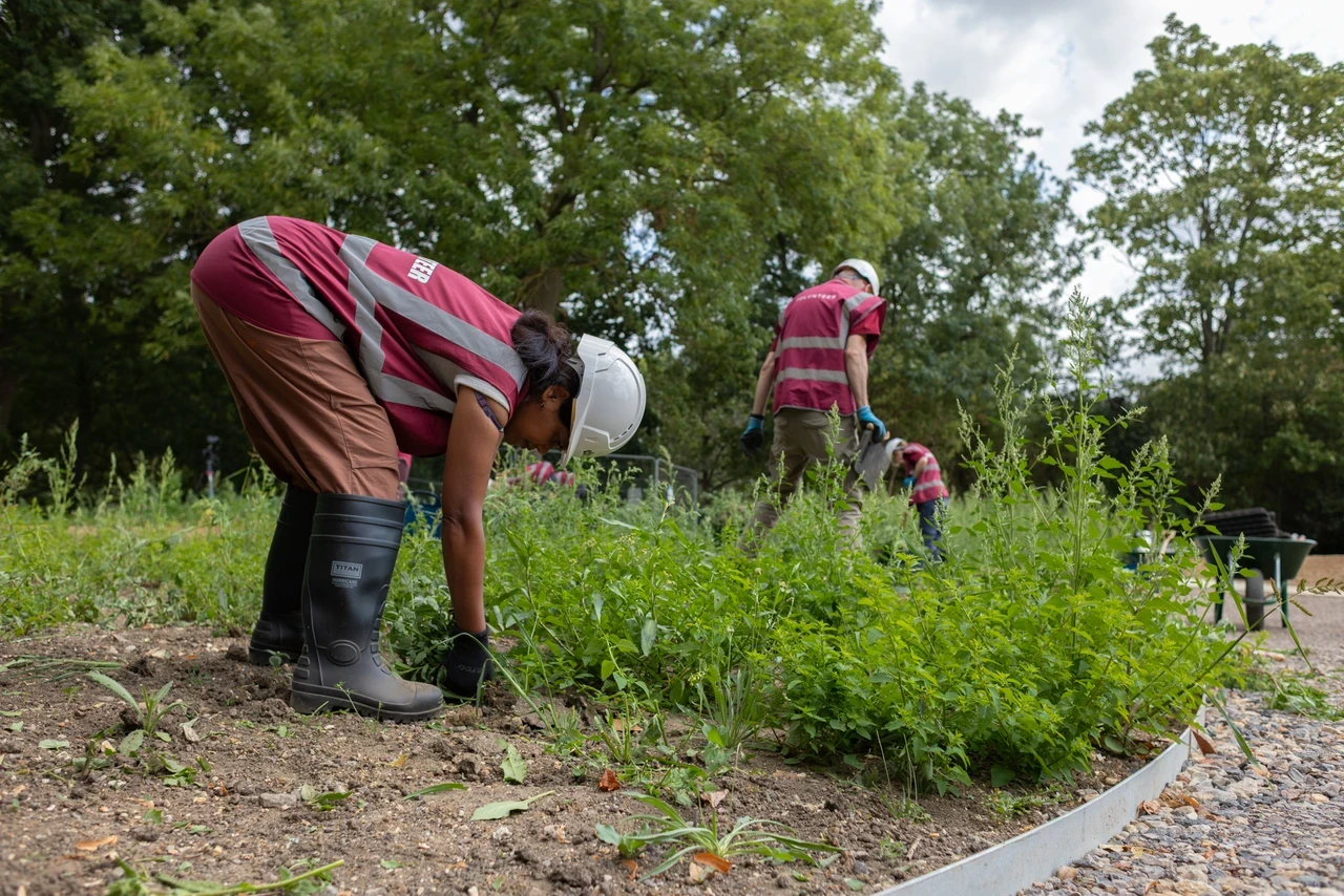 Bulb planting