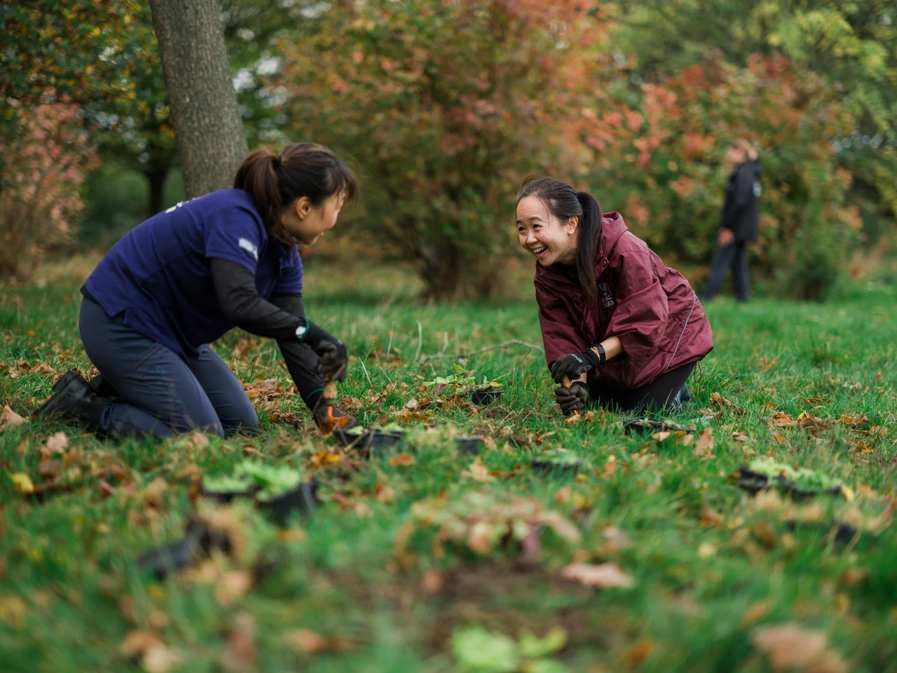 Two women planting bulbs and chatting