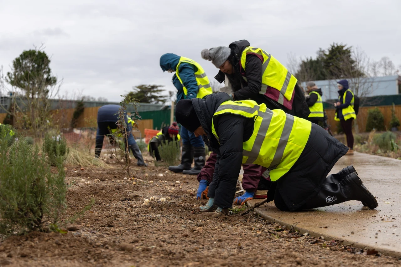 People bulb planting