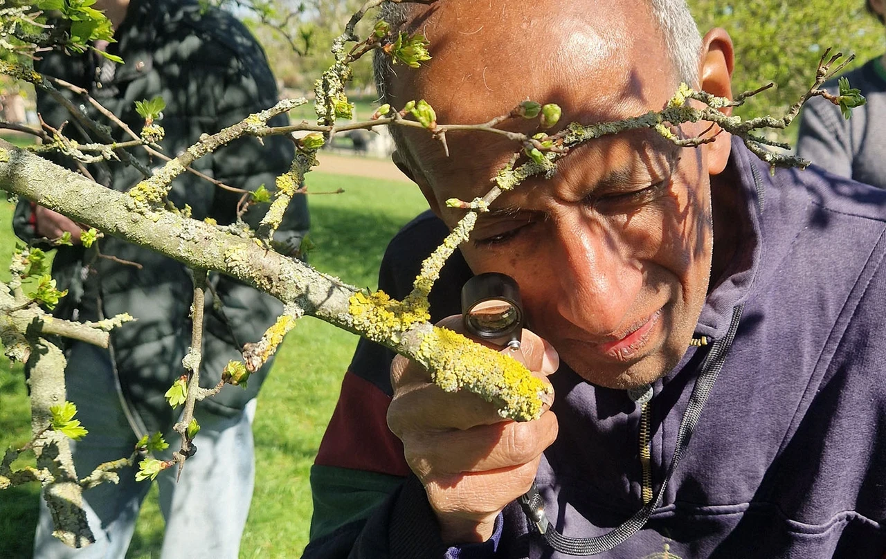 Man looking closely at lichen on a twig with a hand lens on a sunny day
