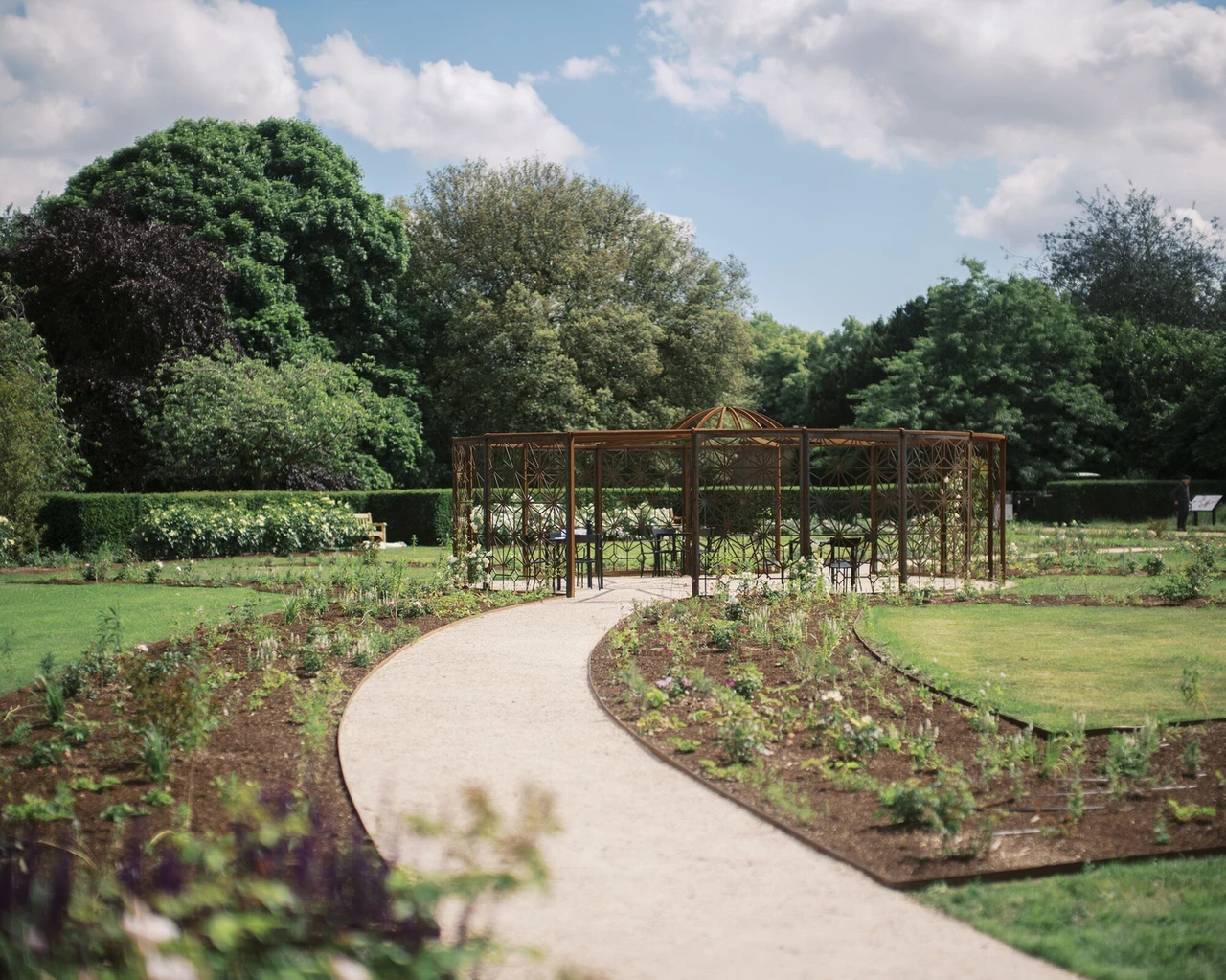 Greenwich Rose Garden with steel pergola and curved pathway flanked by rosebeds