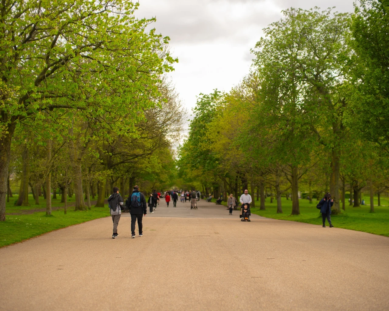 Regent's Park broad walk, a tree lined avenue with lime green leaves in spring. People are walking down the broad walk. 