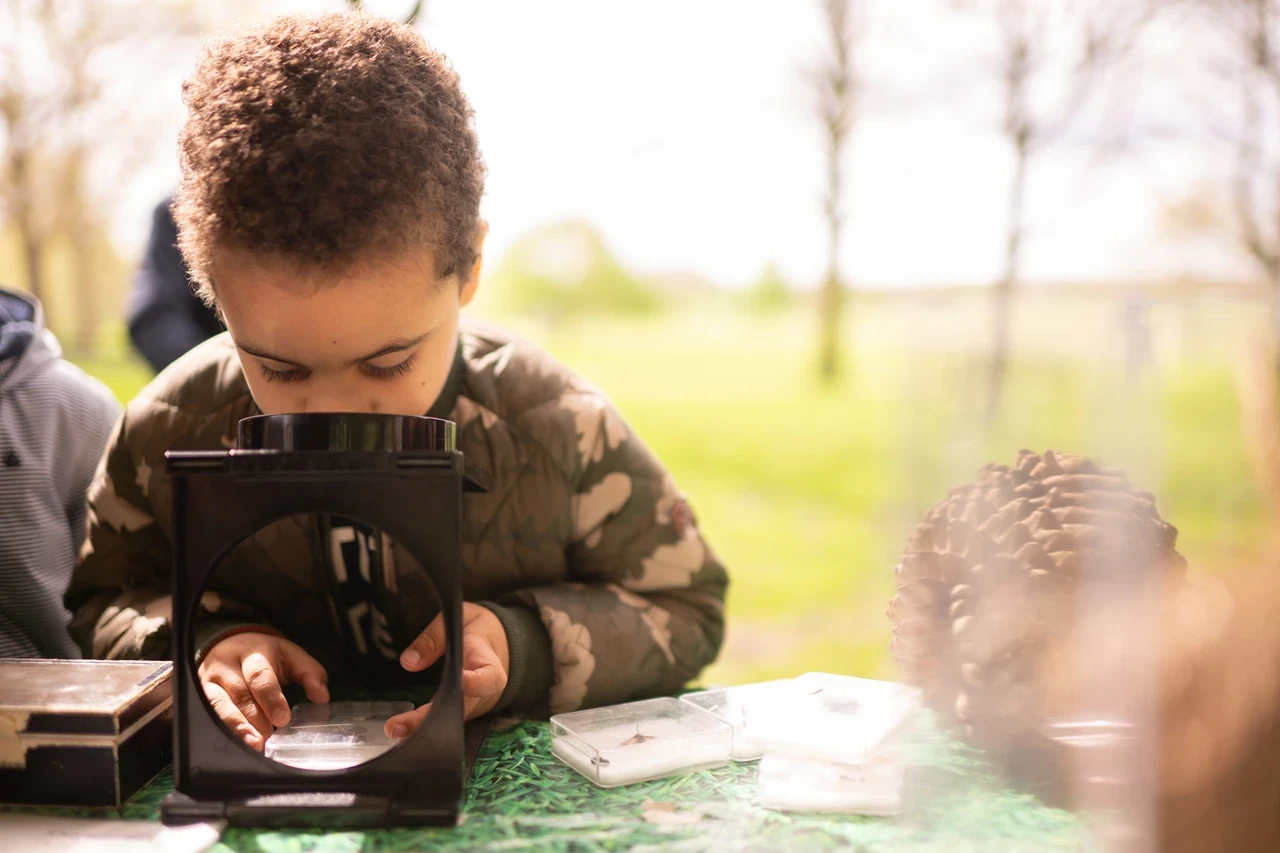 A boy looking at insects through a magnifying glass on a table