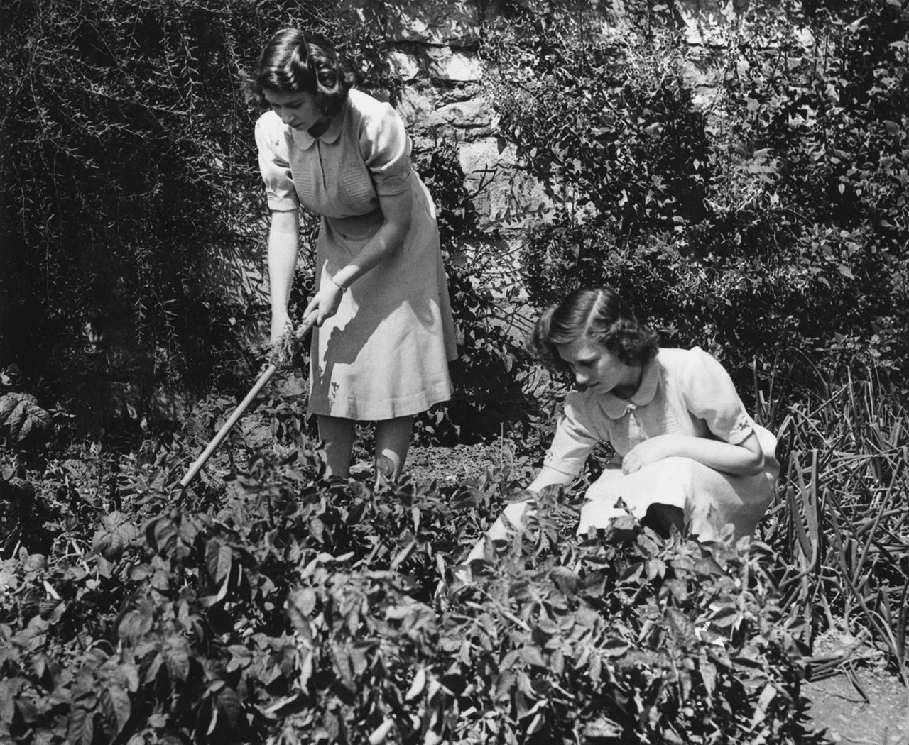 Princess Elizabeth and her younger sister, Princess Margaret tending the allotment in the grounds of Windsor Castle