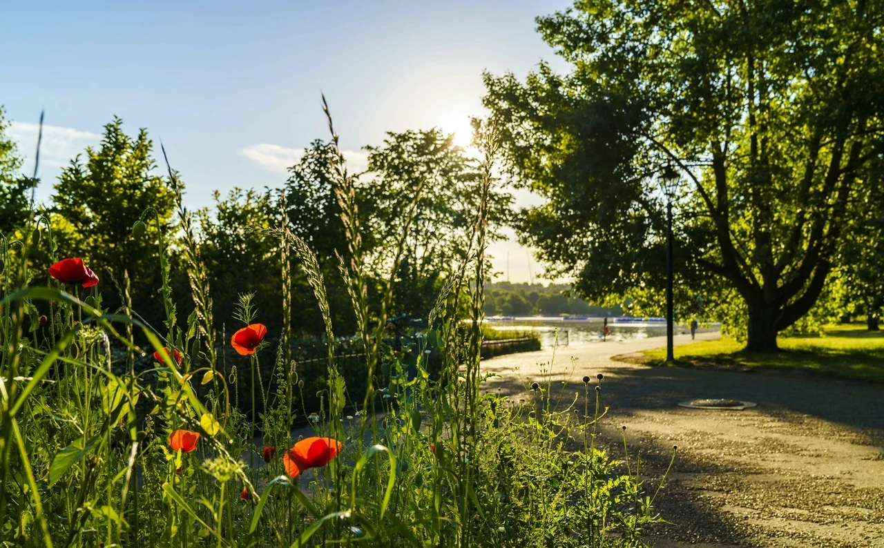 Walking path in Hyde Park in spring