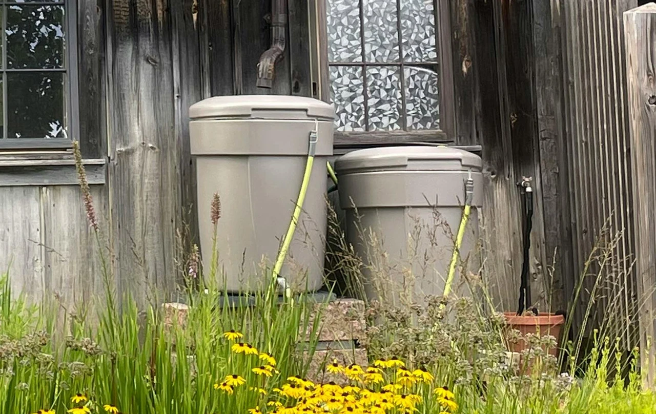 Rainwater butts collect and conserve water for the garden