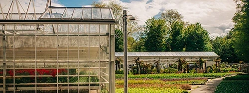 Super Nursery