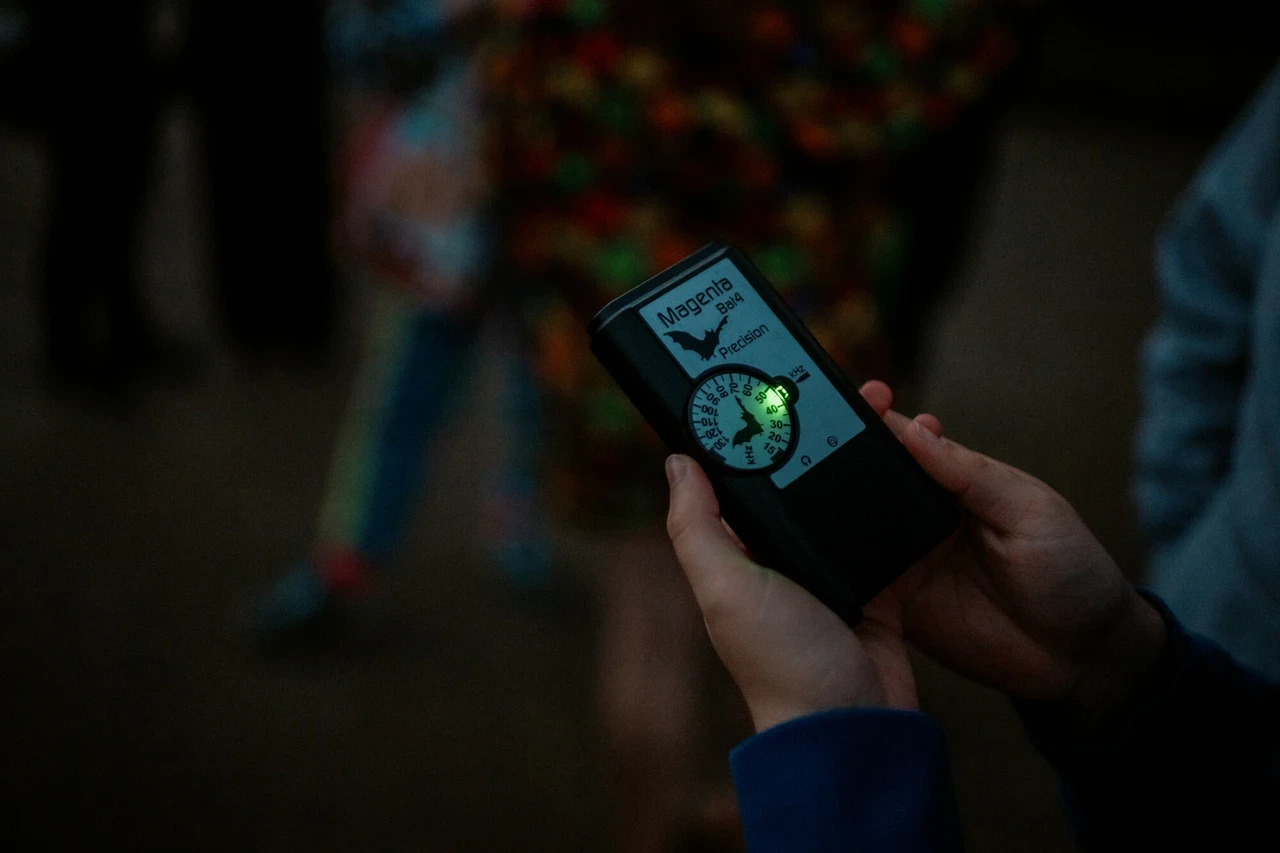A Magenta bat detector is held at night a green light indicates it's on