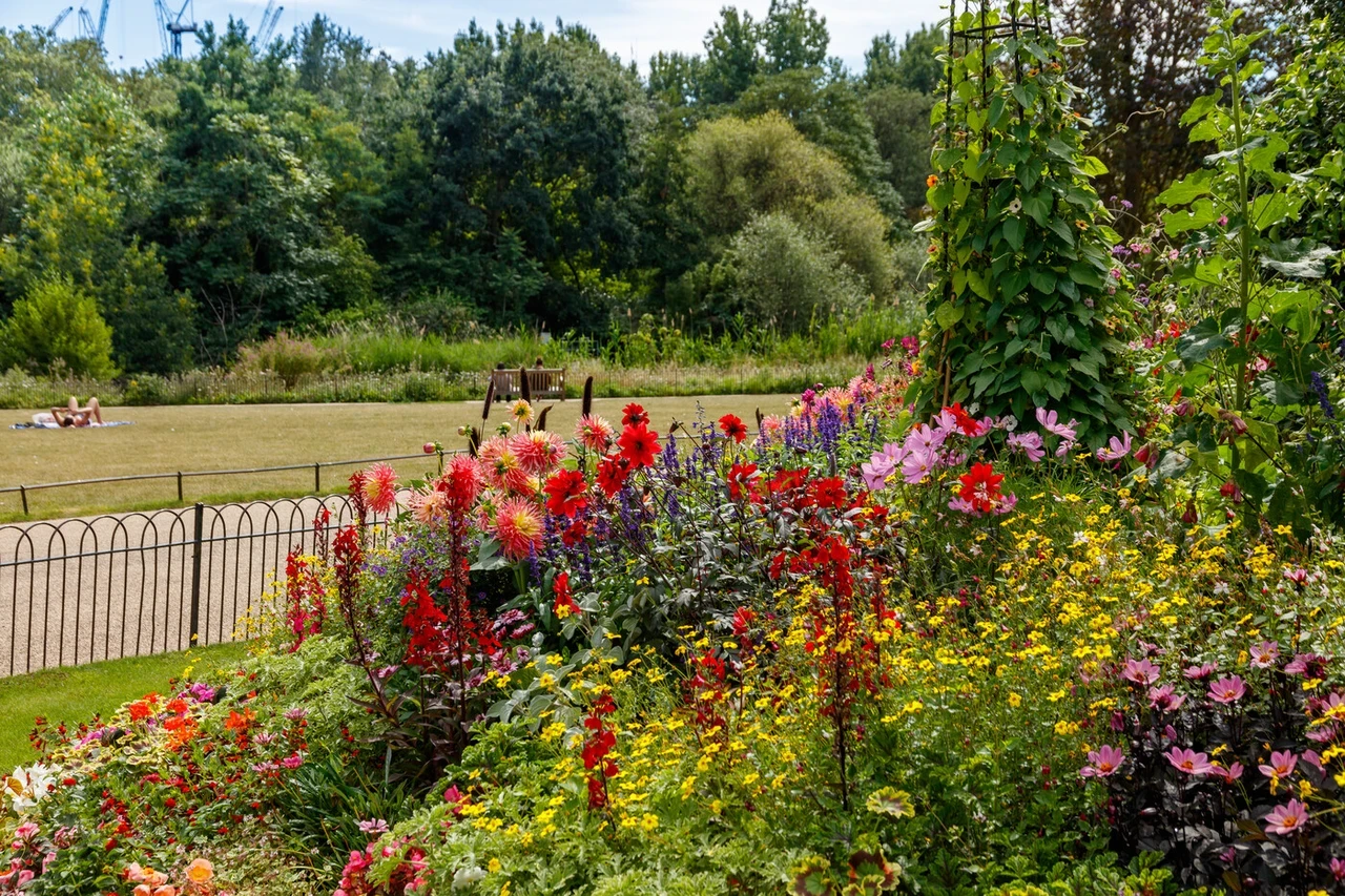 Summer bedding in St. James's Park