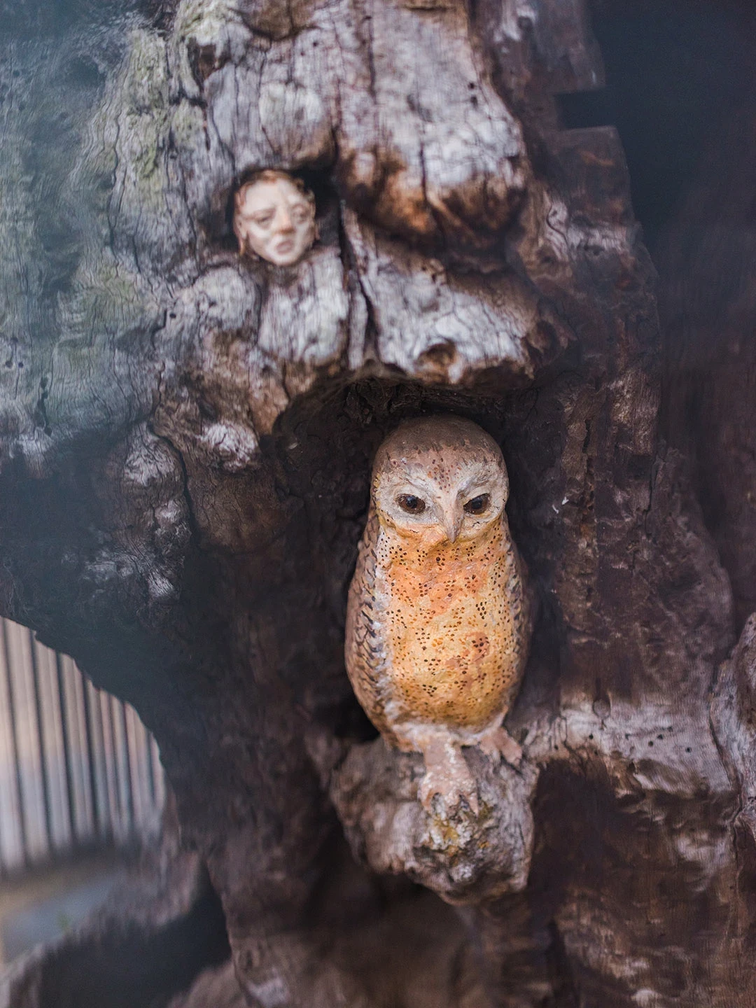 The owl as it appears today 