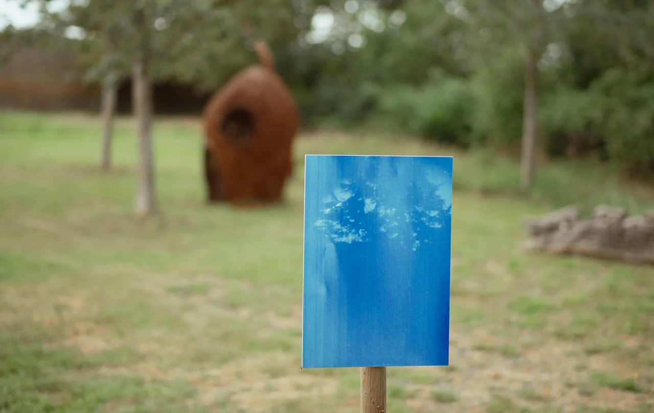 Pinhole photo in the Learning Centre grounds