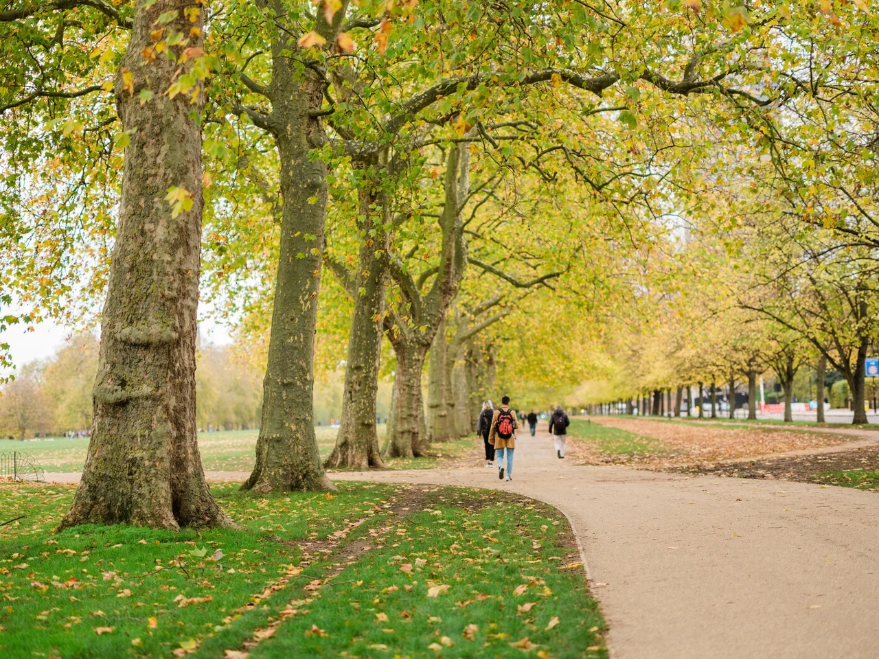 People walking on path in autumn in Hyde Park