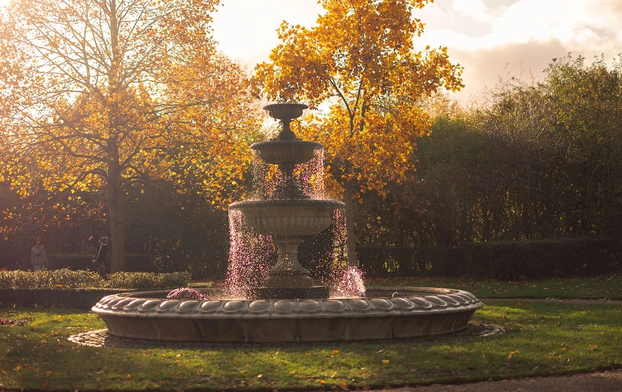 The Avenue Gardens in autumn light
