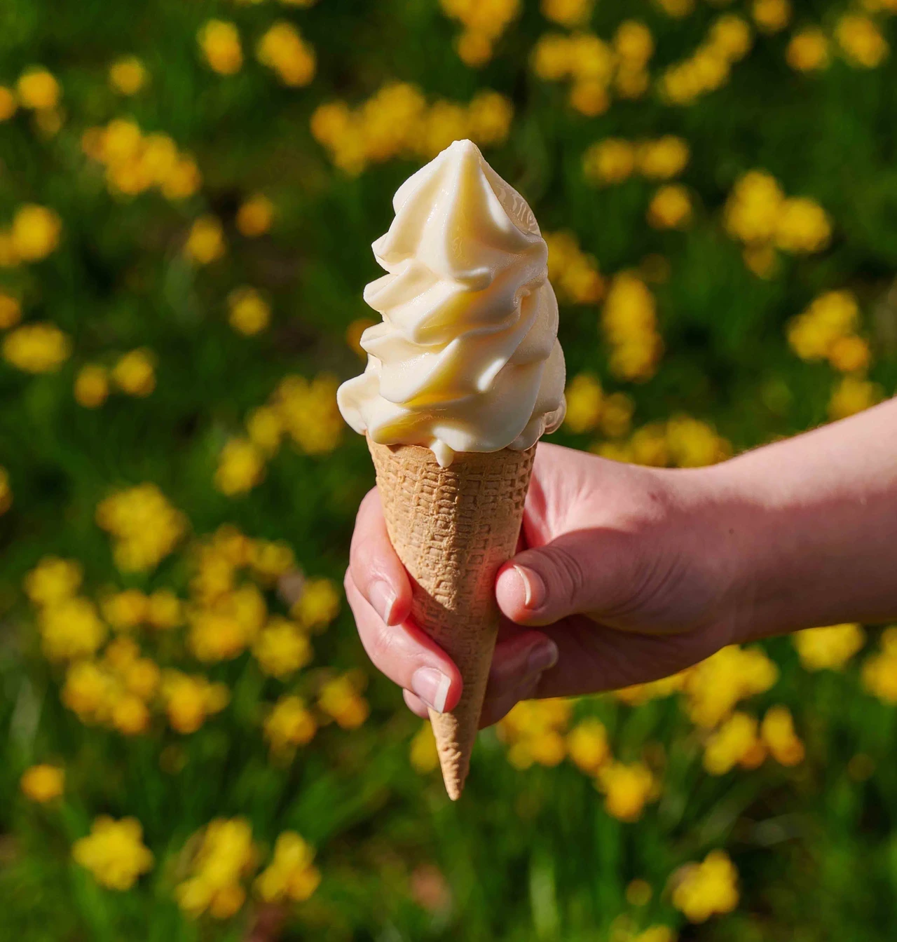 Soft-serve ice cream in a waffle cone