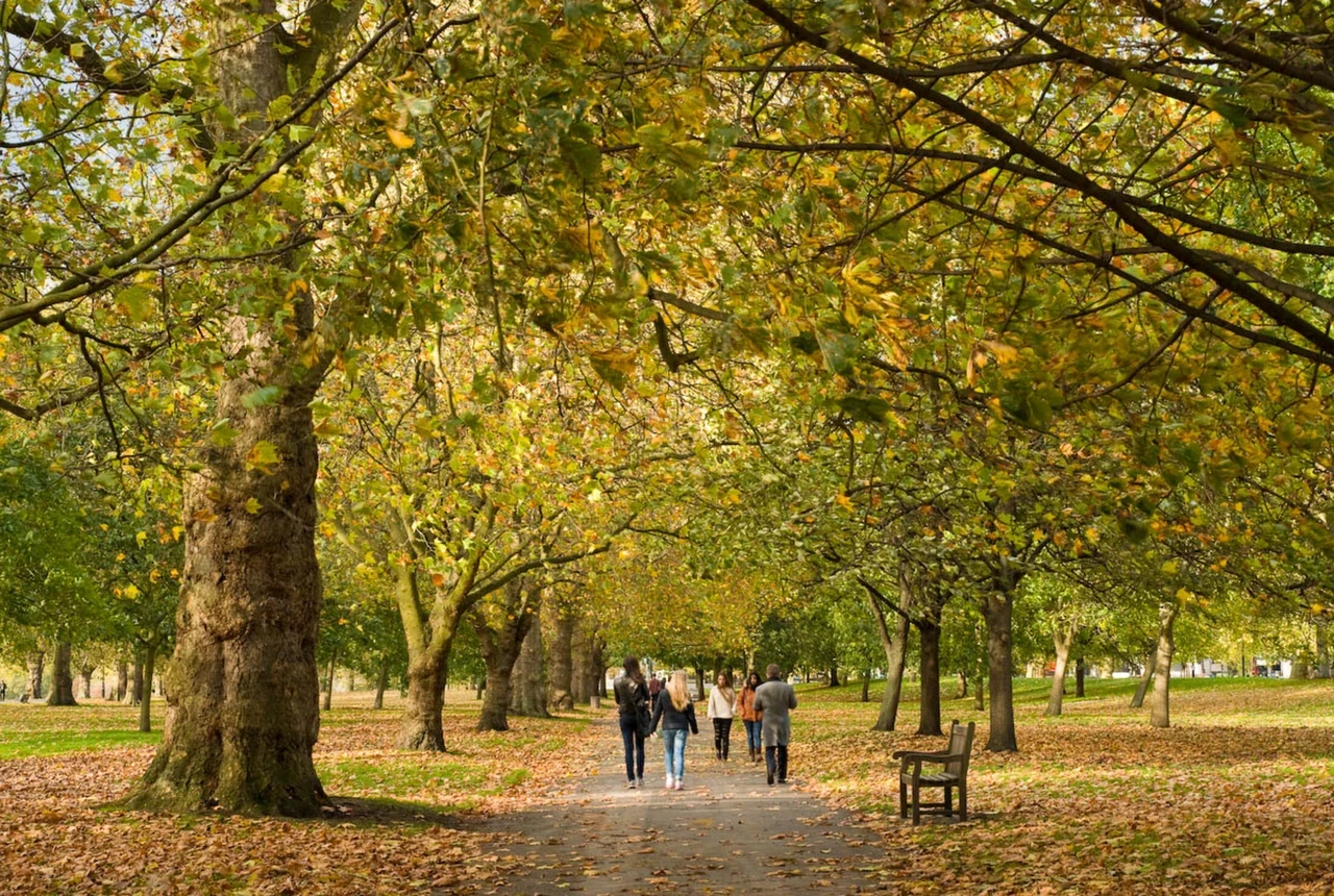 Visitors walking down Lover's Walk in Hyde Park in autumn
