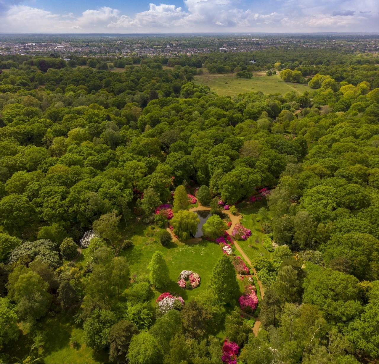 Aerial photograph of Isabella Plantation and Richmond Park