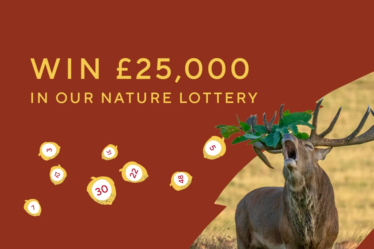 Nature Lottery promotional image - autumn