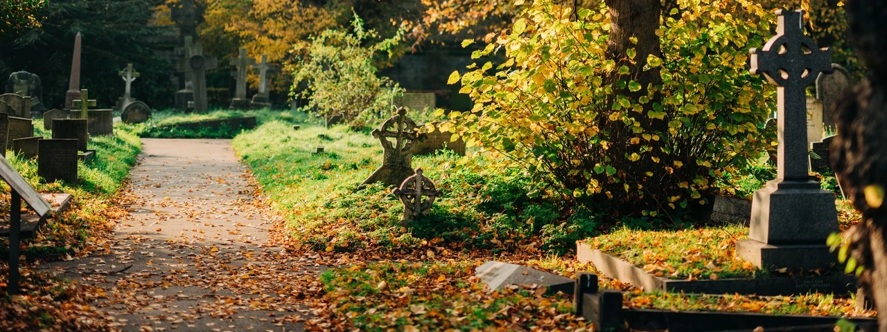 Brompton in the autumn