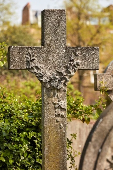 close up image of an ivy plant on a cross