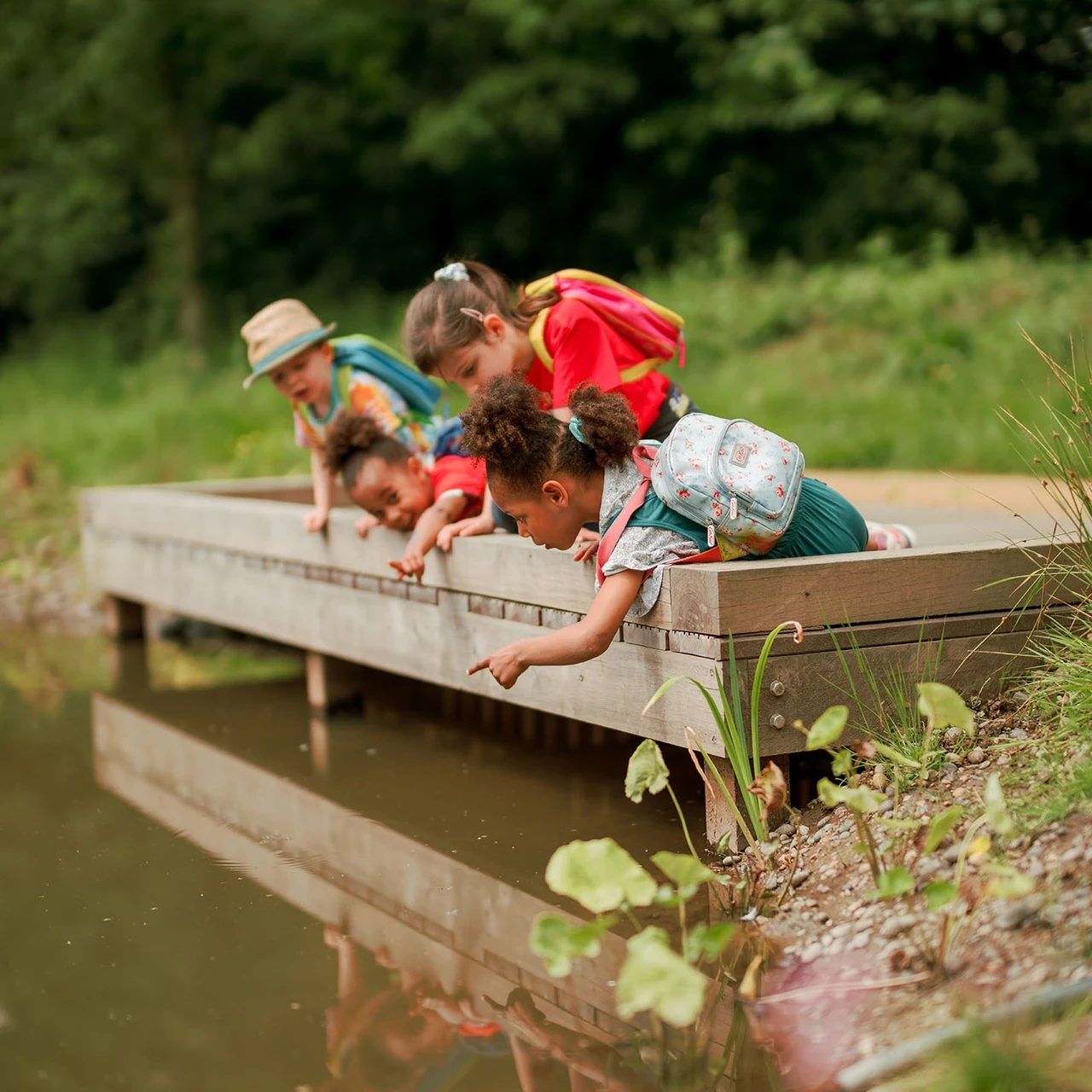 Children pond dipping