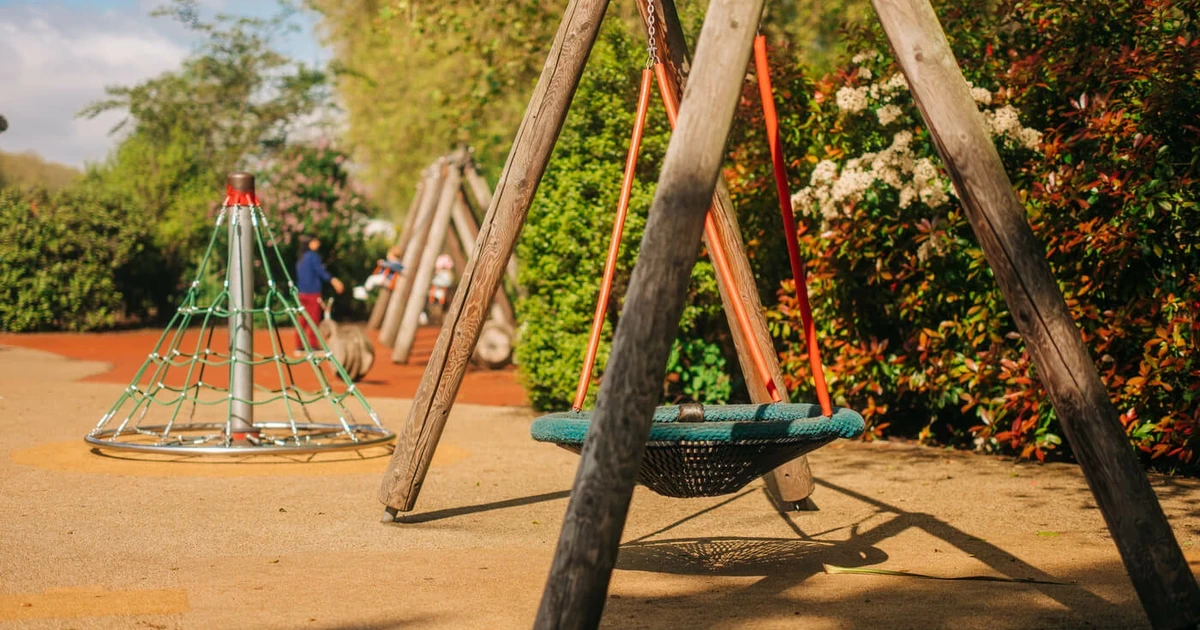 https://www.royalparks.org.uk/sites/default/files/styles/social_og/public/2024-02/Visit_Playing_LP_Spring_South%20Carriage%20Drive.jpg.webp?itok=PDBJtJcs