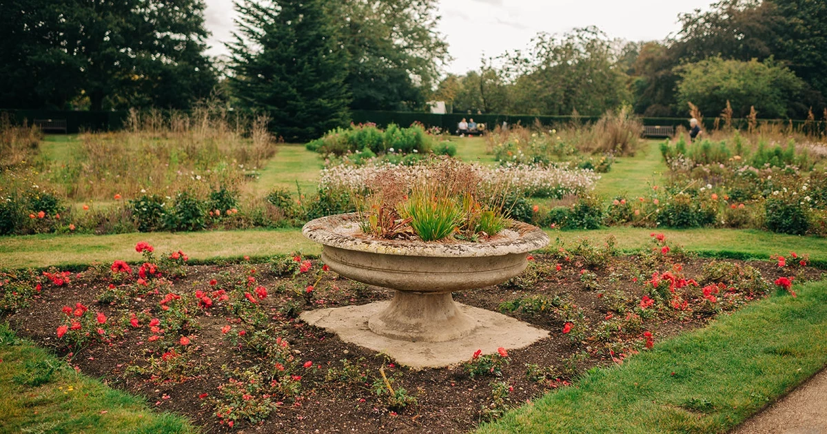 Queen’s Orchard